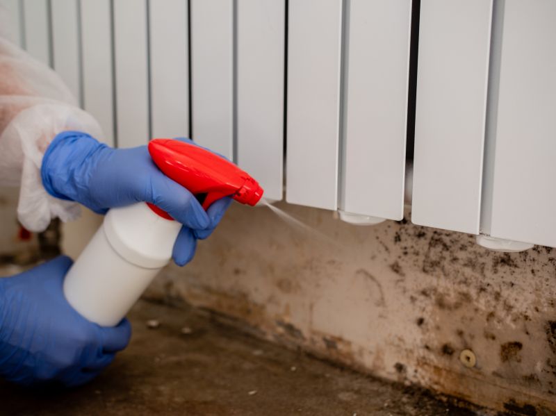 Black Mold Remediation in Bergen County, NJ