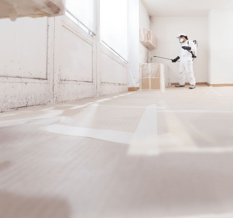 Crawl Space Mold Removal in Essex County, NJ