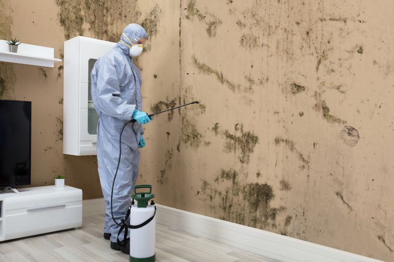 Mold Abatement in Fort Lauderdale, FL