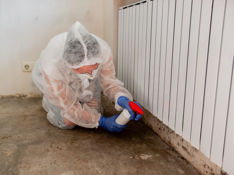 Mold Cleanup Service in Dallas, TX