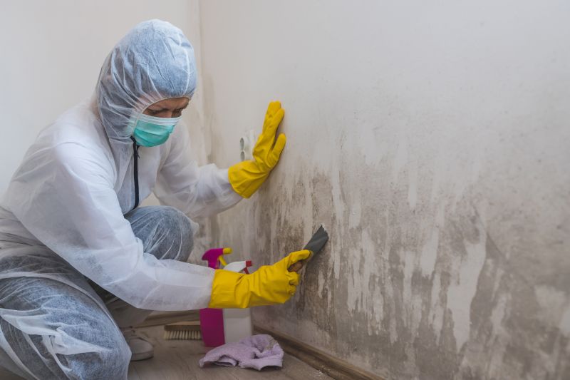 White Mold Mitigation in Broward County, FL